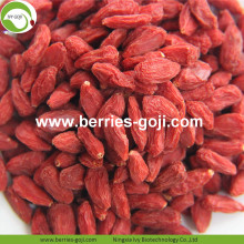 Buy Natural Fruit Anti Cancer Lycium Barbarum