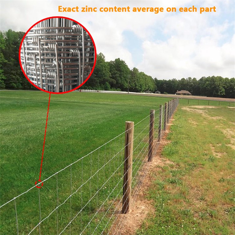 Galvanized High Tensile Steel Fence for Livestock