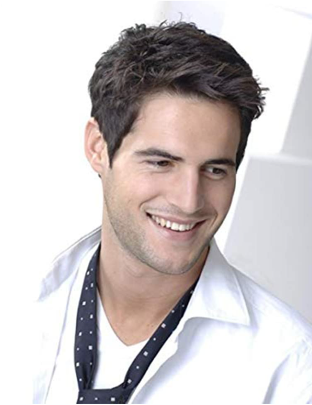 Short Dark Brown Layered Synthetic Wig for Men