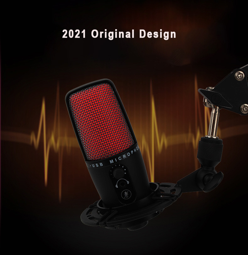 2021 OEM Small Diaphram Condenser USB Mic For Live Show