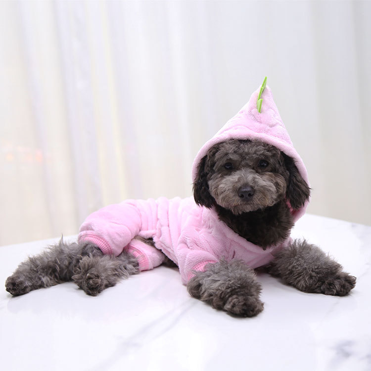 Wholesale Coral Fleece Dog Clothes Pet Dinosaur Clothes Autumn and Winter Warm Four-legged Dog Cat Clothes