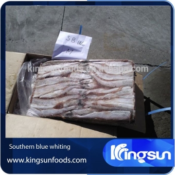 fresh frozen south blue whiting[alibaba gold supplier]