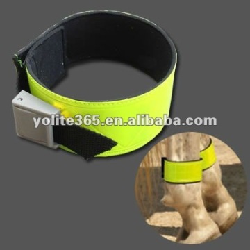 Reflective Horse Ankle Band