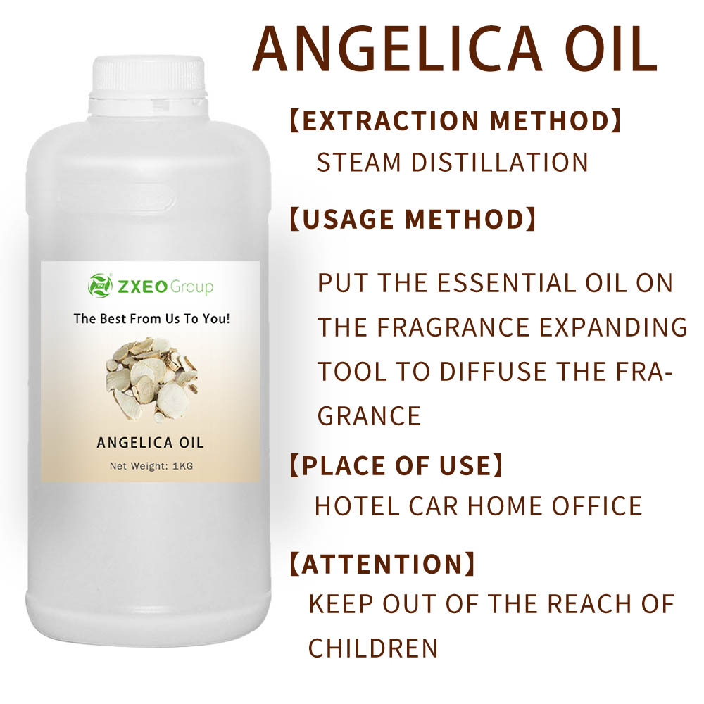 Oil Oil Extract ของ Angelica Dahurica ธรรมชาติสำหรับการนวด