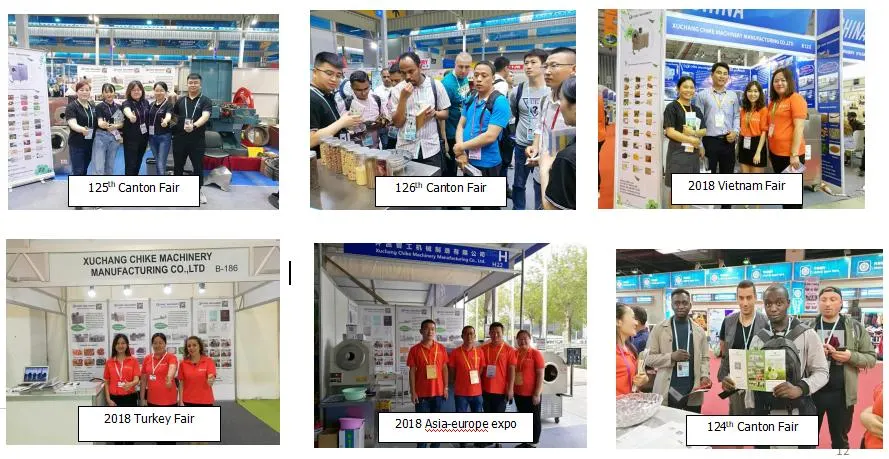 Automatic Nut Processing Roasting Machine