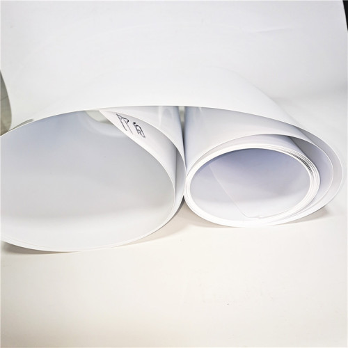 rigid PP food packing film roll