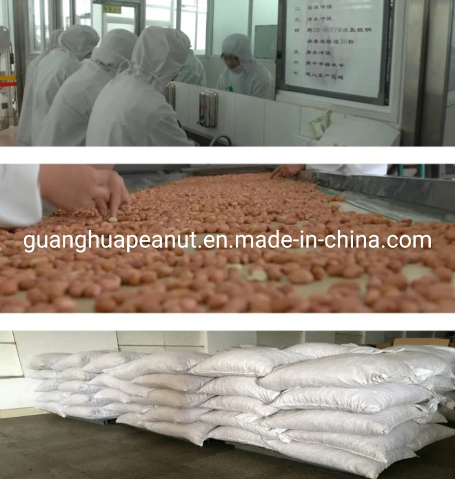 Hot Sale Blanched Peanut Kernels From Shandong China