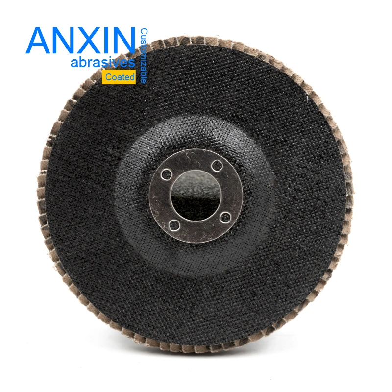 Customized Flap Disc with 100*15 Size for Inox