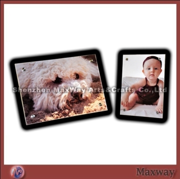 Exquisite Acrylic Buddie Photo Frame