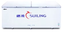 550L BD-550 wholesale Commercial solid Door Chest Freezer