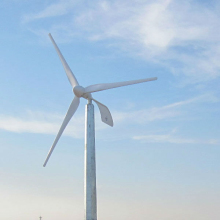 best wind power products 1000w design wind turbine with unique rotating tails