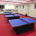 Tappetini professionali per campi da tennis da tavolo indoor