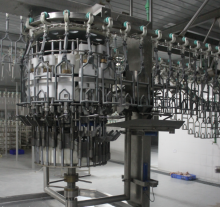 chicken slaughtering machine poultry eviscerator