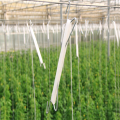 Greenhouse Plant Hooks Supports With Twines