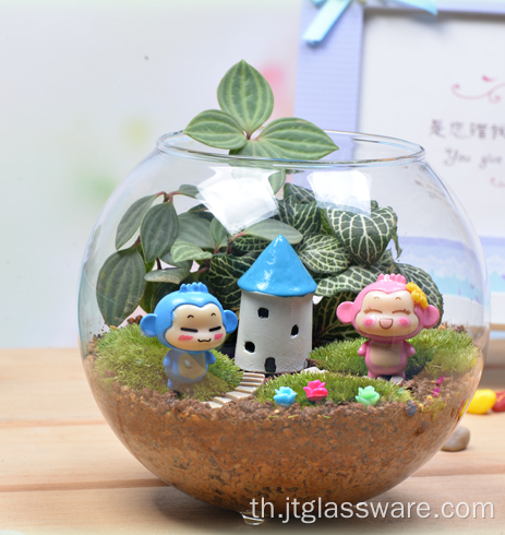 แจกันแก้วใสแบบต่างๆ Terrarium