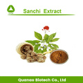 Sanchi Extrato Tienchi Ginseng Powder Panax noitoginseng