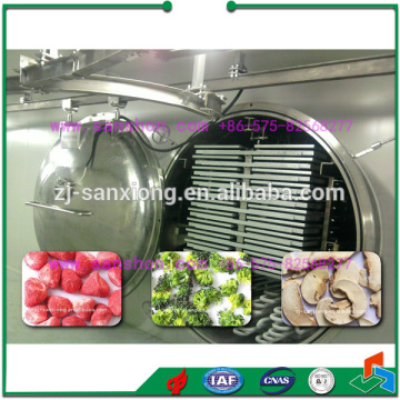 Food Processing Vegetable Fruit Freeze Dryer Vacuum Freeze Dryer