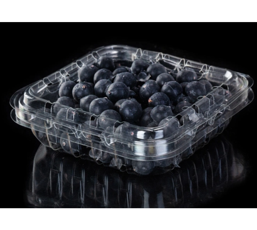 Blueberries Clamshell Box