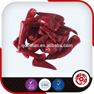 xinjiang chili pepper