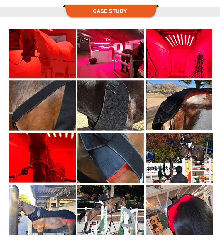 SINOCO Horse Solarium Veterinary Instrument Assistant Therapy Device with Barn Light for Equine Sunbath