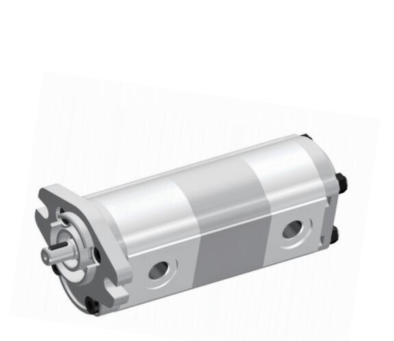 Rice harvester gear pump