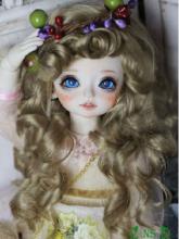 BJD Lucy 27cm Girl Ball Jointed Doll