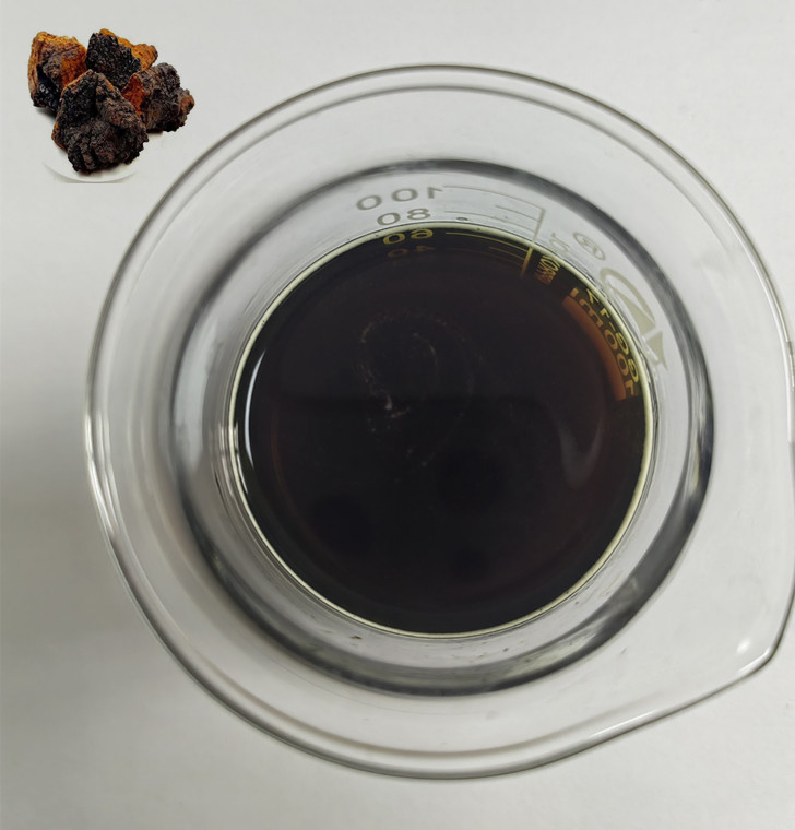 Water Soluble Of Chaga Mushroom Extract Water Soluble Of Chaga Mushroom Extract