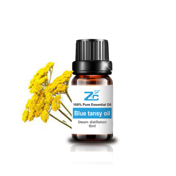 Olio blu tansy essenziale all&#39;ingrosso olio di tansy blu