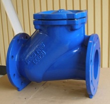 Cast Iron Ball Check Valve
