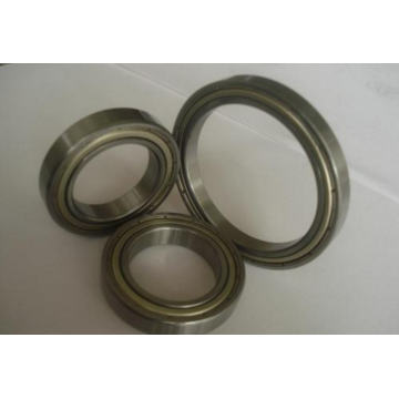 Single Row Deep Groove Ball Bearing (6224)