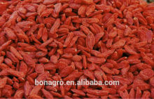 NingXia Goji Berry