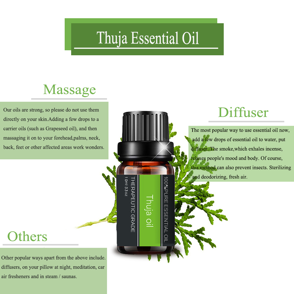 Óleo essencial de Thuja 100%puro para aromaterapia com cuidados com a pele