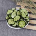 Premium Dehydrated Cucumber Round Flakes Camping Food