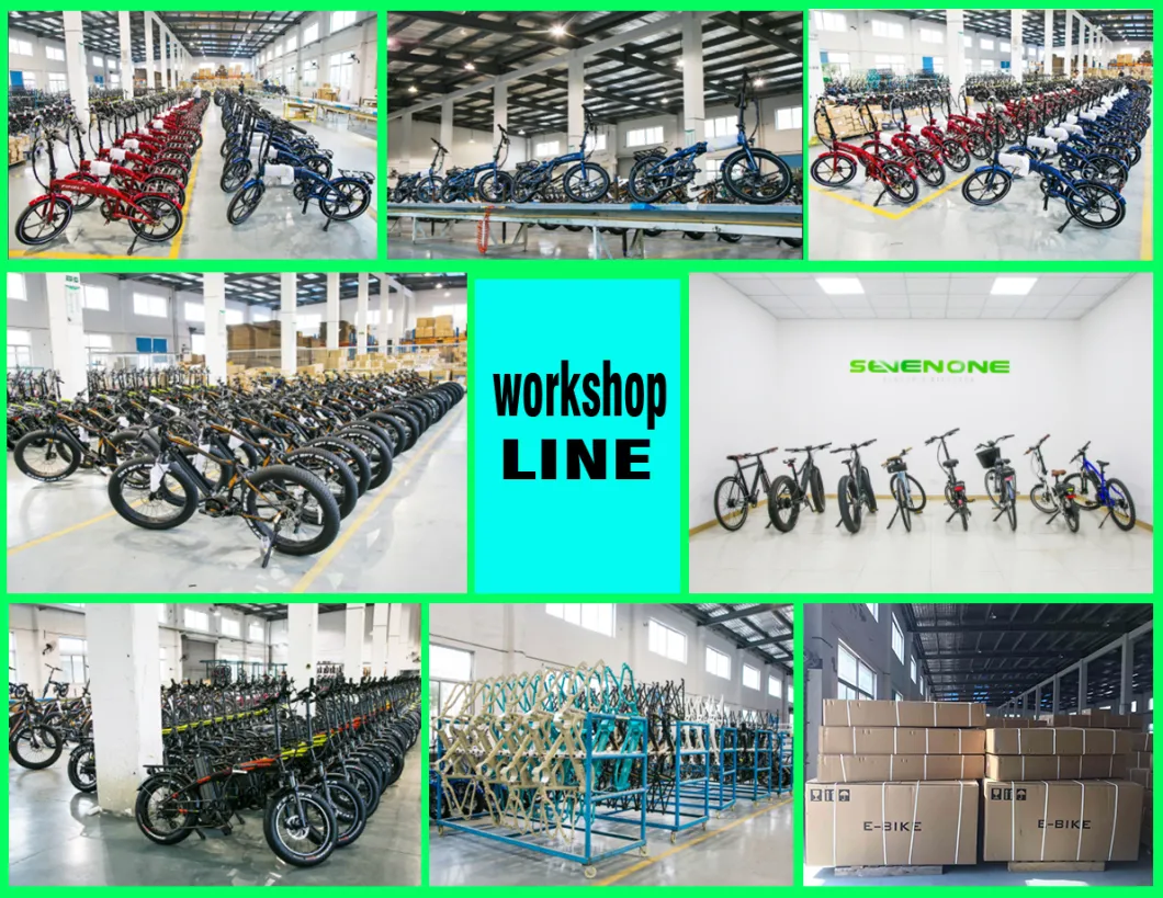 OEM Suntour Suspension 20 Inch Foldable City Electric Bike with En 15194
