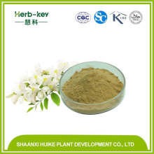 Sophora Japonica Extract 95% Quercetin 98%