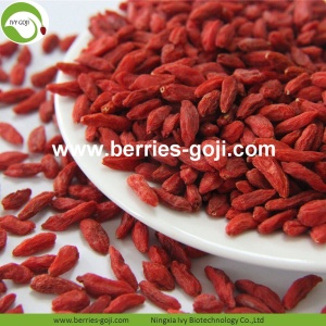 Factory Wholesale Nutrition Anti Tumor Wolfberry