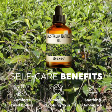 High Quality Pure Tea Tree Essential Oil for Skin