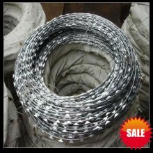 HOT!! Razor Ribbon Wire for sale