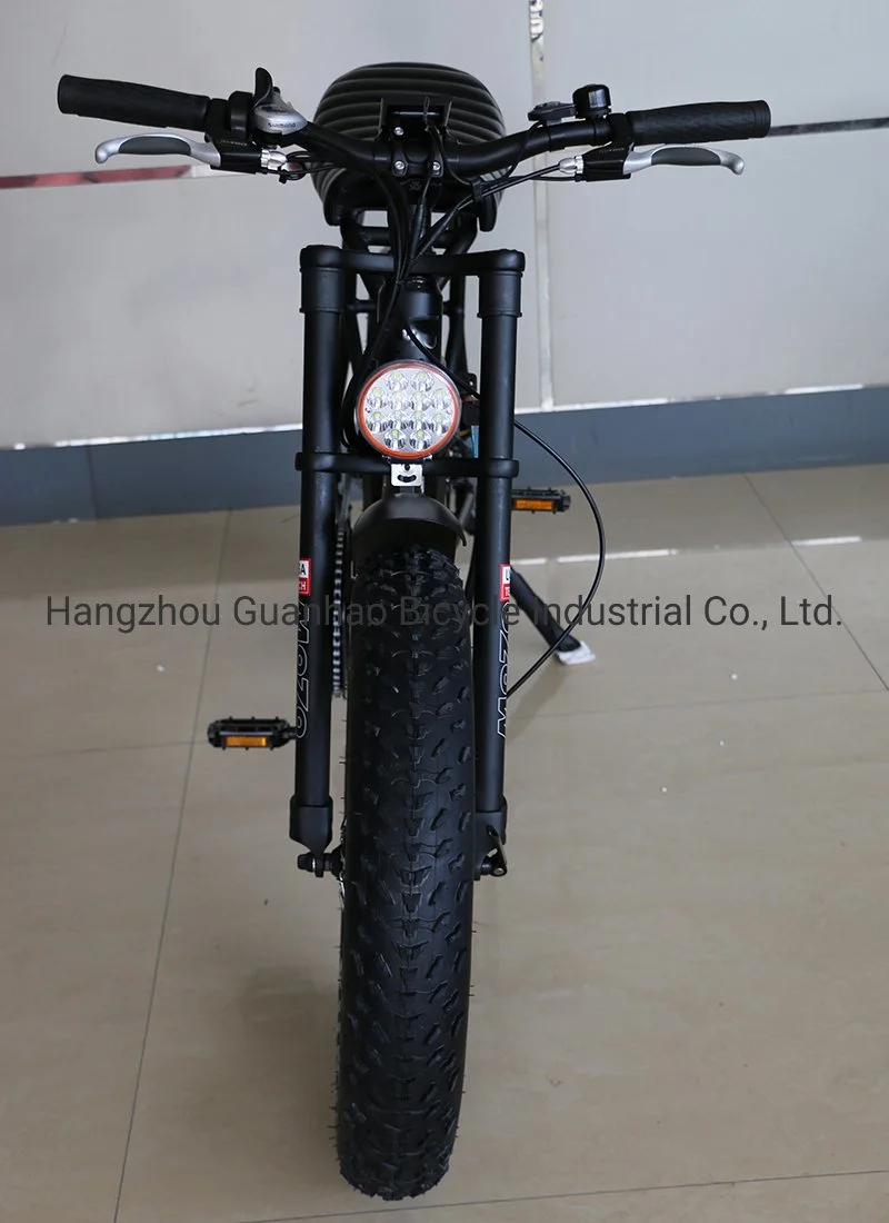 20inch En15194/CE OEM/ODM Samsung 17ah Battery New Ebike with Motor 48V 1000W Fat Tire Super 73 Electric Bike