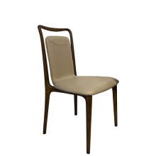 Modern Stylish Dinning Chair