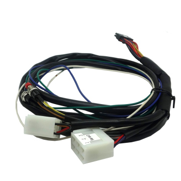 Wire harness With Switch