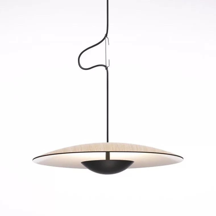 Contemporary Hanging Pendant Lights