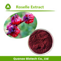 Roselle-Extrakt / Hibiskus-Sabdariffa-Extrakt-Pulver 10:1