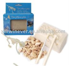 Sml Theropithecus qelada Dig Kit