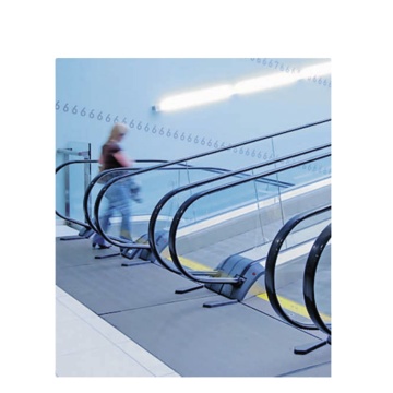 FUJI Professional Factory Moving Walks/Sidewalks with 2 Years Warranty