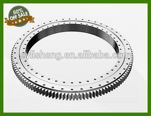 EX200 High precision slewing ring bearing