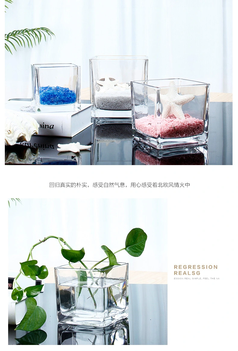 Manufacturers Customize Various Household Clear Glass Vases with Different Specifications