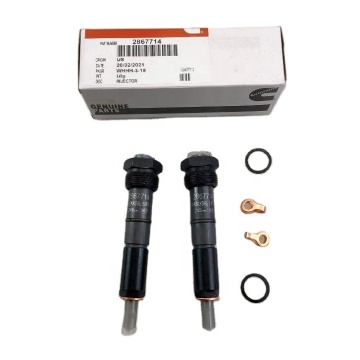 Cummins 6BTAA5.9G6 Fuel Injector 2867714