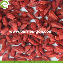 Factory Hot For Sale Dried Fruit Wolfberries