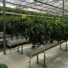 Agricultural Greenhouse Rock Wool Substrate: Soilless Culture for Vegetables/Tomatoes